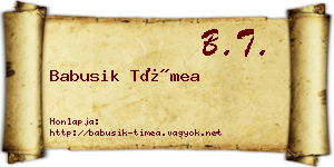 Babusik Tímea névjegykártya
